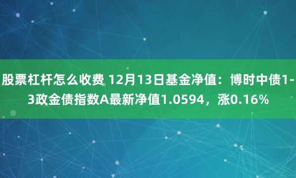 股票杠杆怎么收费 12月13日基金净值：博时中债1-3政金债指数A最新净值1.0594，涨0.16%