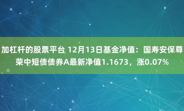 加杠杆的股票平台 12月13日基金净值：国寿安保尊荣中短债债券A最新净值1.1673，涨0.07%