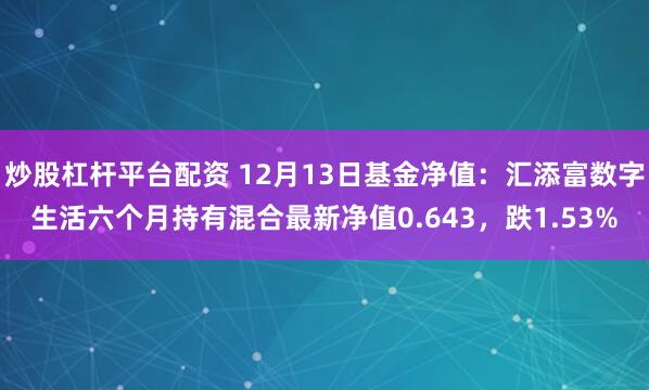 炒股杠杆平台配资 12月13日基金净值：汇添富数字生活六个月持有混合最新净值0.643，跌1.53%