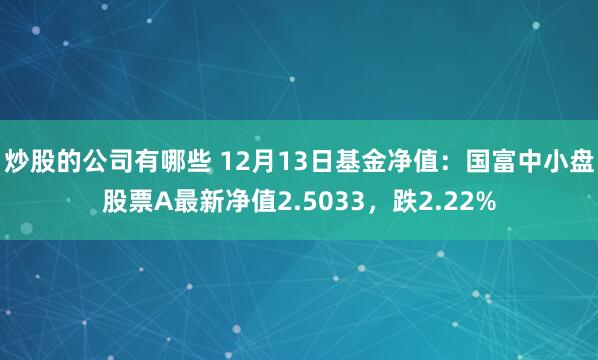 炒股的公司有哪些 12月13日基金净值：国富中小盘股票A最新净值2.5033，跌2.22%