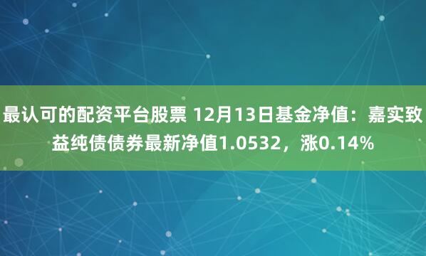 最认可的配资平台股票 12月13日基金净值：嘉实致益纯债债券最新净值1.0532，涨0.14%