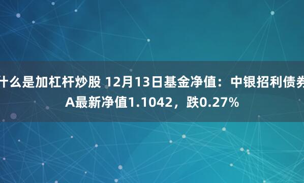 什么是加杠杆炒股 12月13日基金净值：中银招利债券A最新净值1.1042，跌0.27%