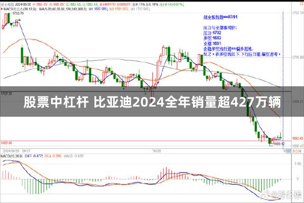 股票中杠杆 比亚迪2024全年销量超427万辆