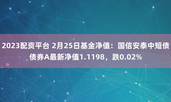 2023配资平台 2月25日基金净值：国信安泰中短债债券A最新净值1.1198，跌0.02%